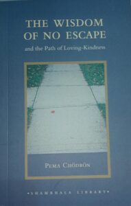 The Wisdom of No Escape Paperback – by Pema Chödrön