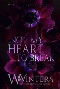 Not My Heart to Break (Paperback) by Willow winters